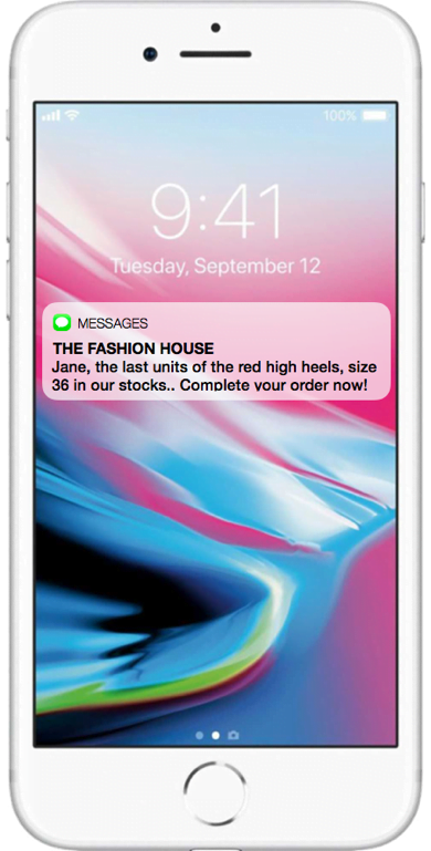 SMS Marketing Example on Multi-Channel Marketing