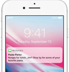 Frizbit-sms-marketing-usecase-4-geolocation