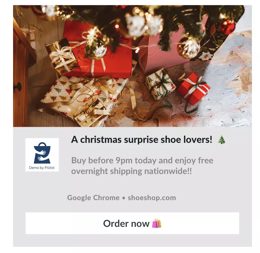 Example of an overnight shipping Christmas campaign
