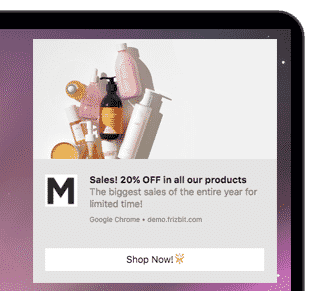 web push notifications guide for online stores
