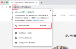 Cómo Permitir Notificaciones Web Push
