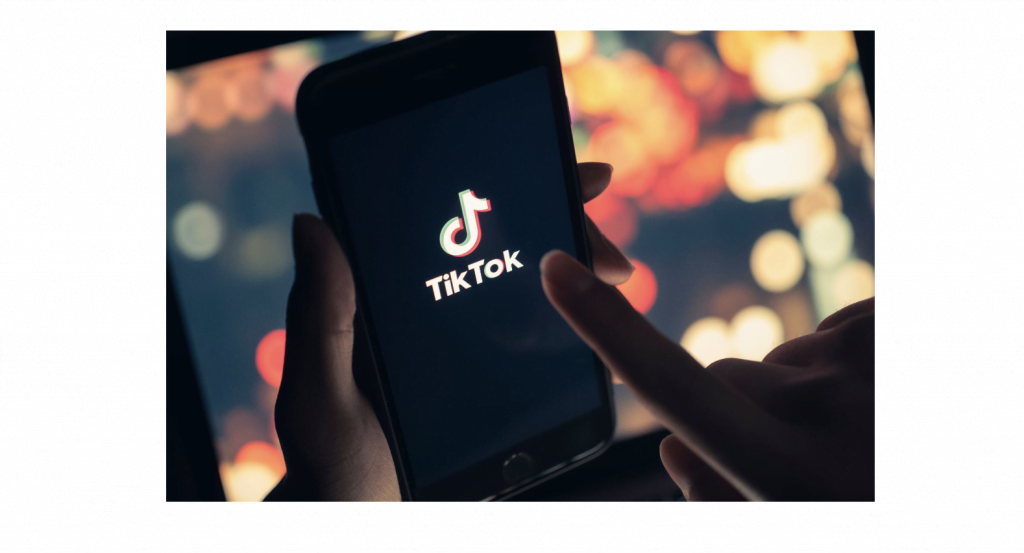 Digital marketing insights social media updates tiktok frizbit