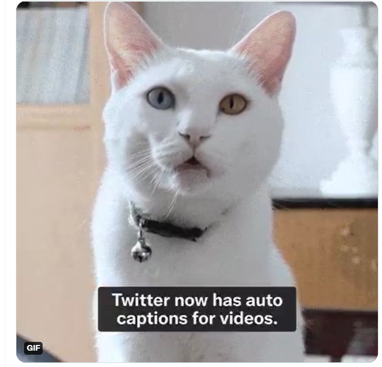 Twitter Caption Videos
