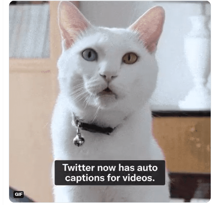 Twitter Caption Videos